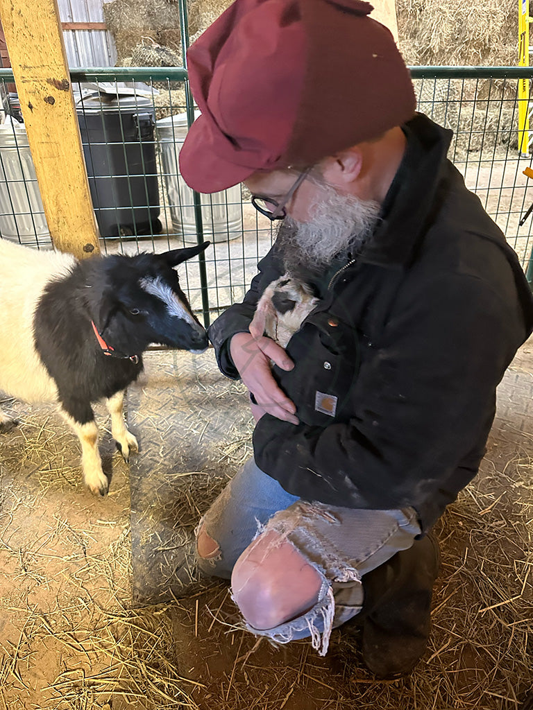 Dumplin' - Myotonic Doeling