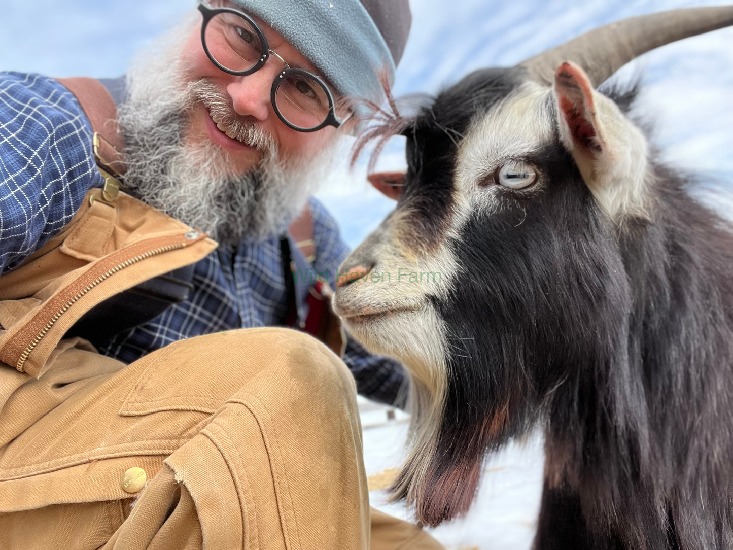 Wild Haven Keith, a Myotonic buck, taking a selfie picture with George Sawyer