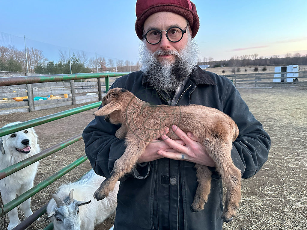 Man holding baby goat