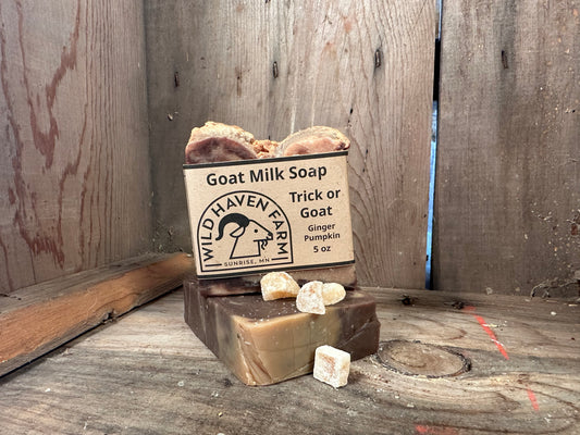 Bar of Wild Haven Farm "Trick or Goat"soap handmade with San Clemente Island goat milk