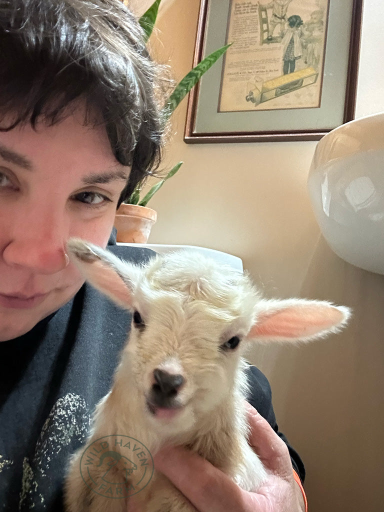 Valentina - Hybrid Doeling - ADOPTED