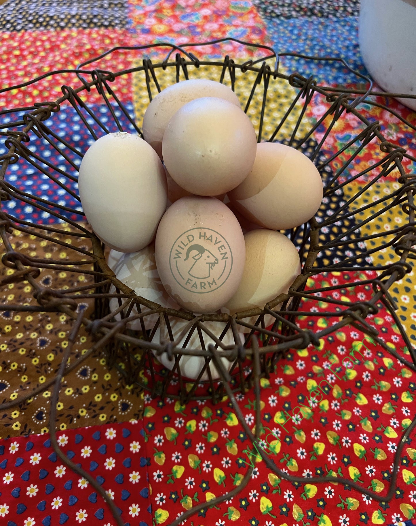 Organic Egg Subscription