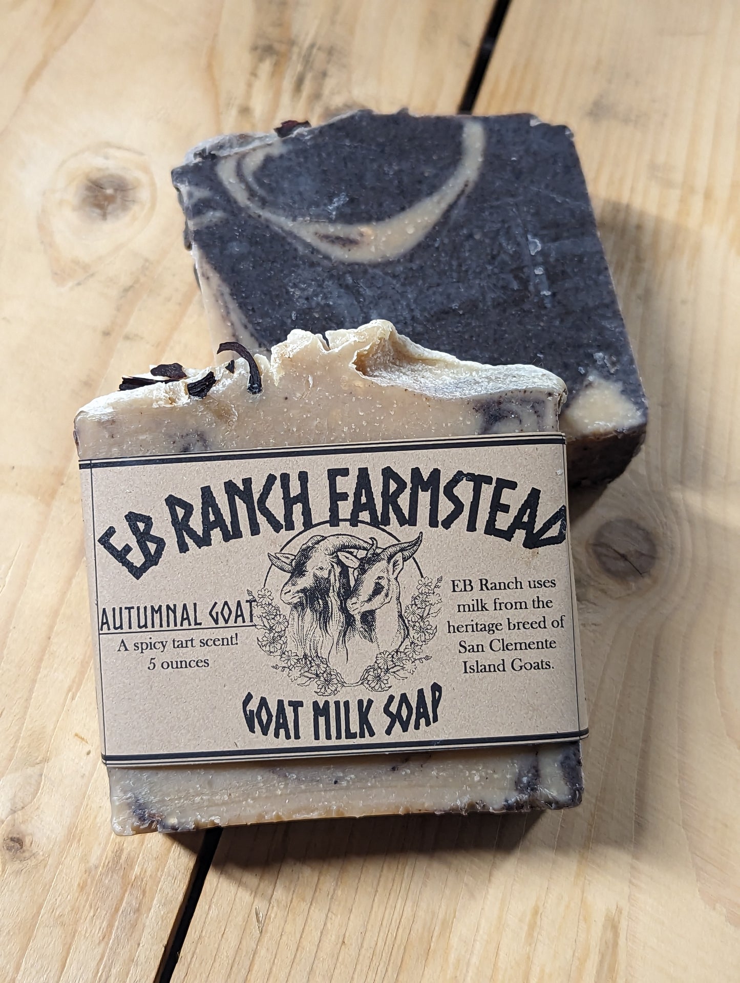 Bar of Wild Haven Farm's Autumnal Goat goat milk soap made with San Clemente Island goat milk