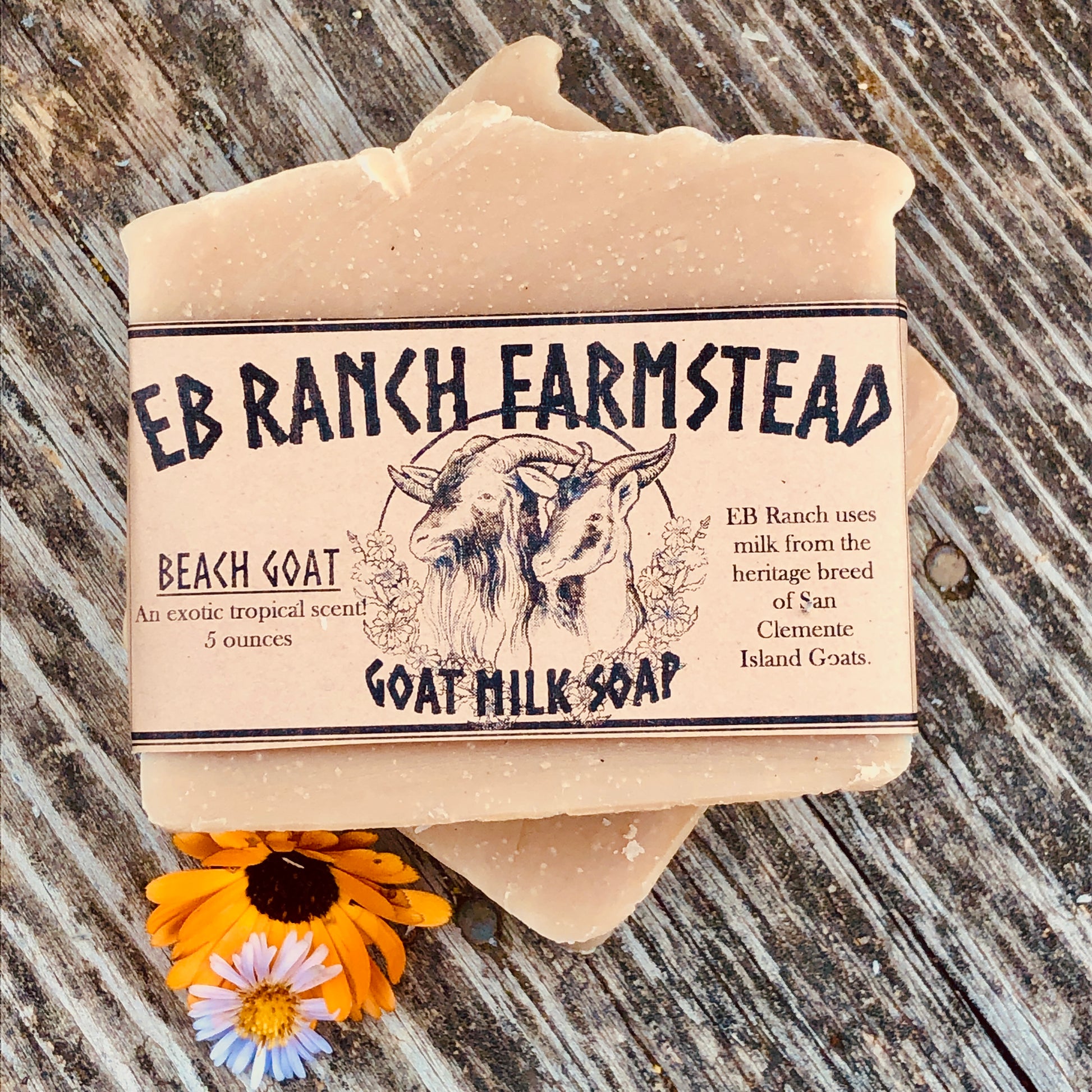 Bar of Wild Haven Farm's Beach Goat goat milk soap made with San Clemente Island goat milk