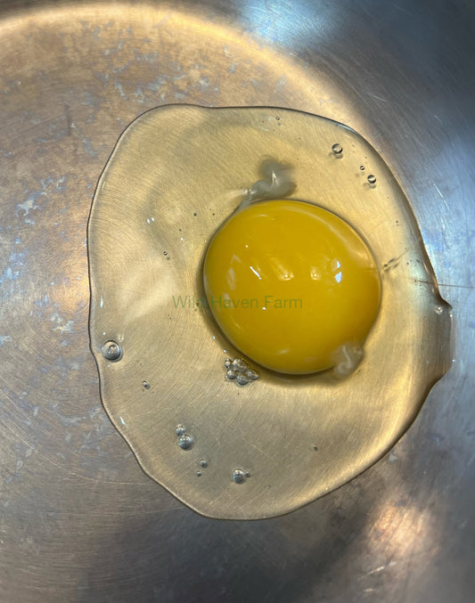 Egg in a skillet