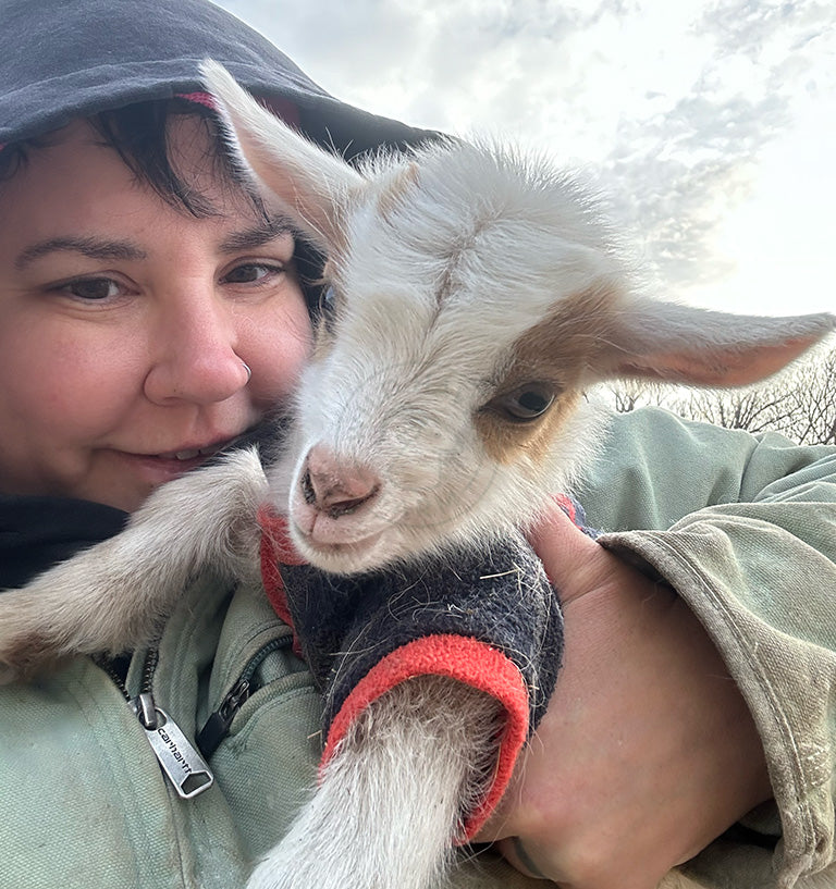 Garth - Myotonic/Nigerian Dwarf Buck