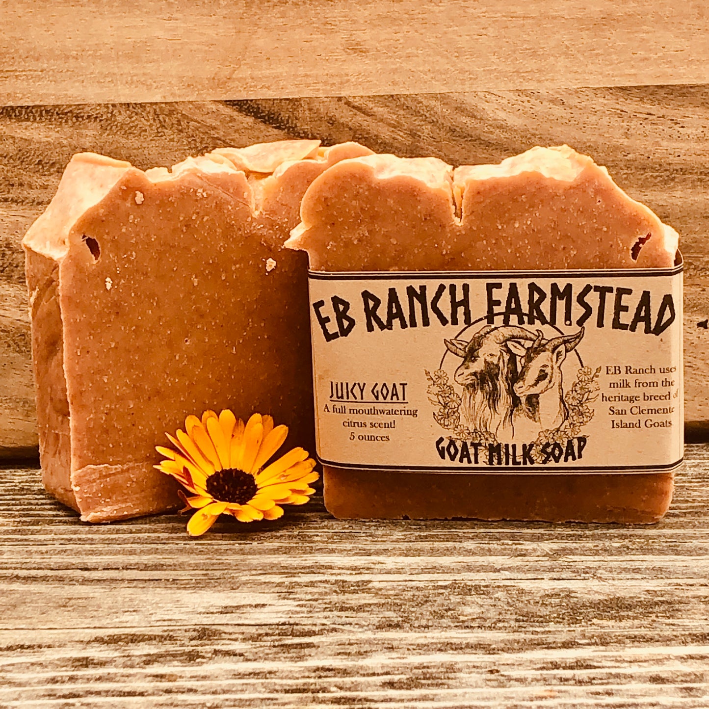 Bar of Wild Haven Farm's Juicy Goat goat milk soap made with San Clemente Island goat milk