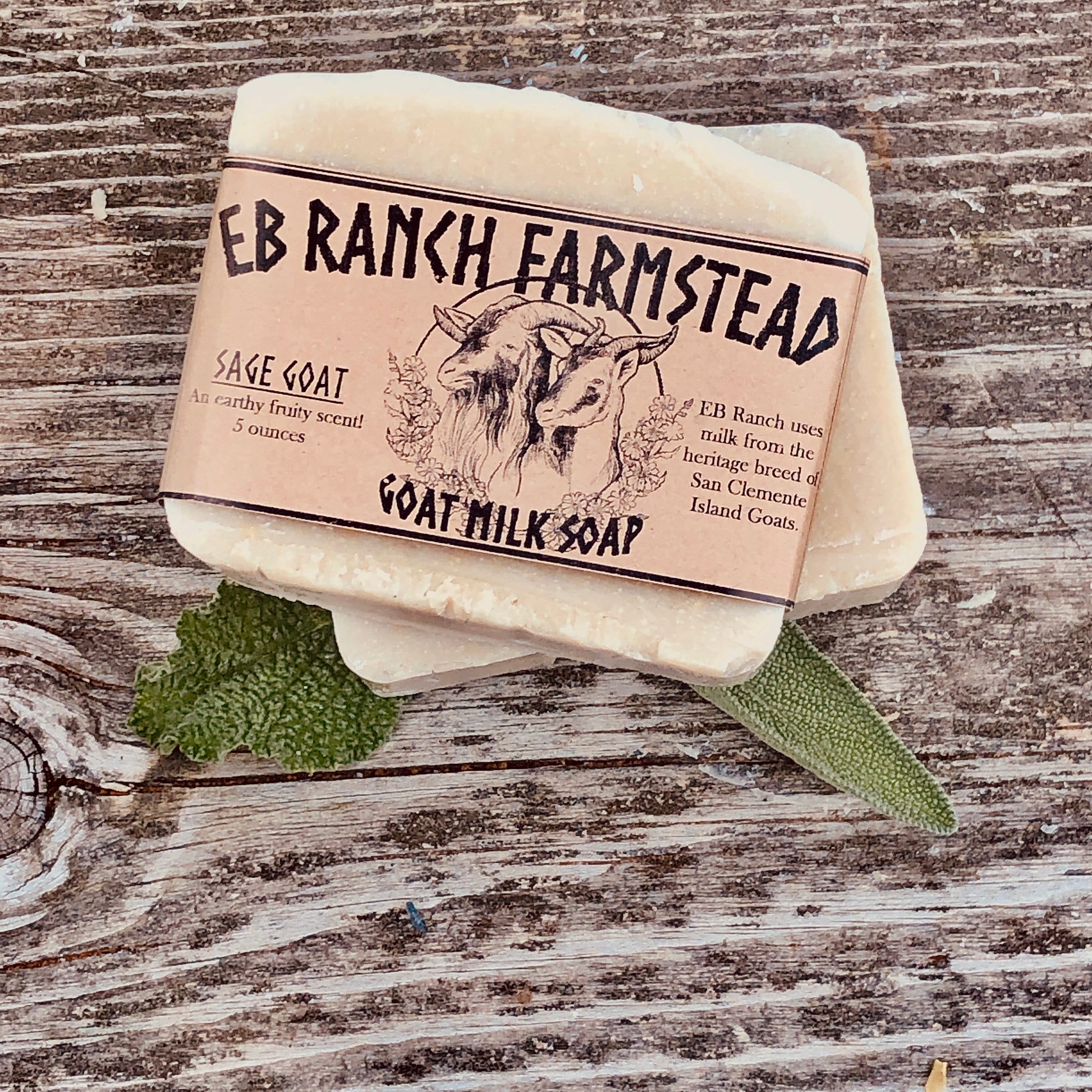 Bar of Wild Haven Farm's Sage Goat goat milk soap made with San Clemente Island goat milk