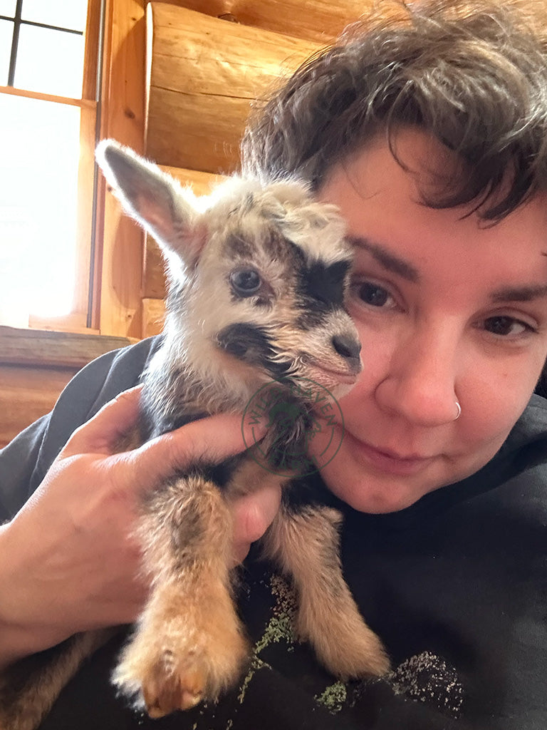 Woman holding a tiny baby goat