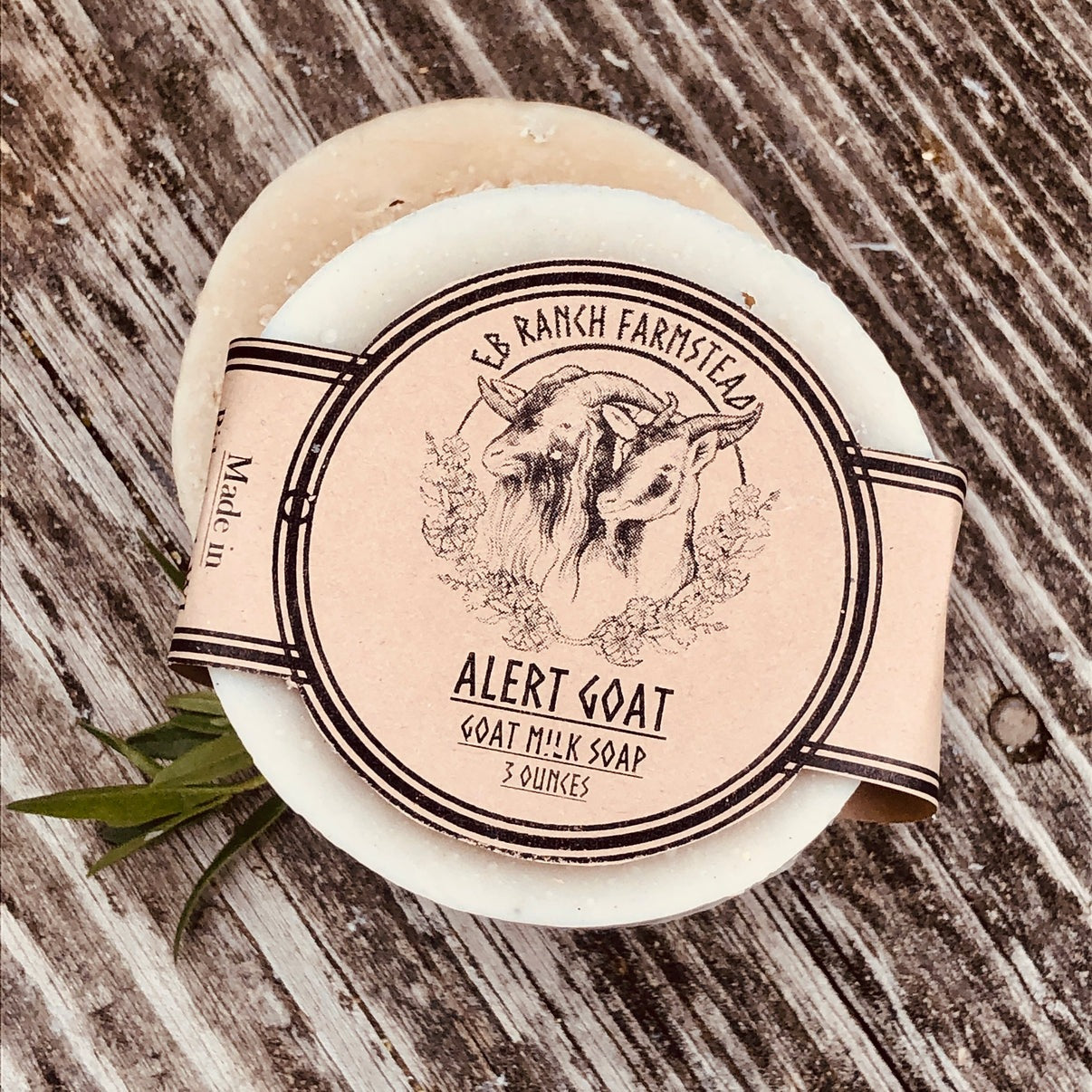 Bar of Wild Haven Farm's Alert Goat goat milk soap made with San Clemente Island goat milk